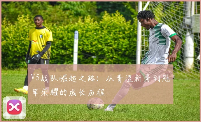 V5战队崛起之路：从青涩新秀到冠军荣耀的成长历程